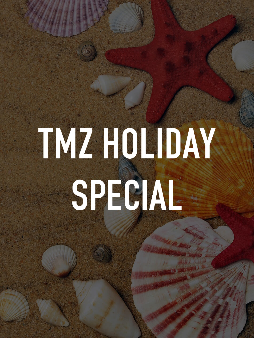 TMZ's Merry Elfin' Christmas Cast & Guest Stars (2022) Television